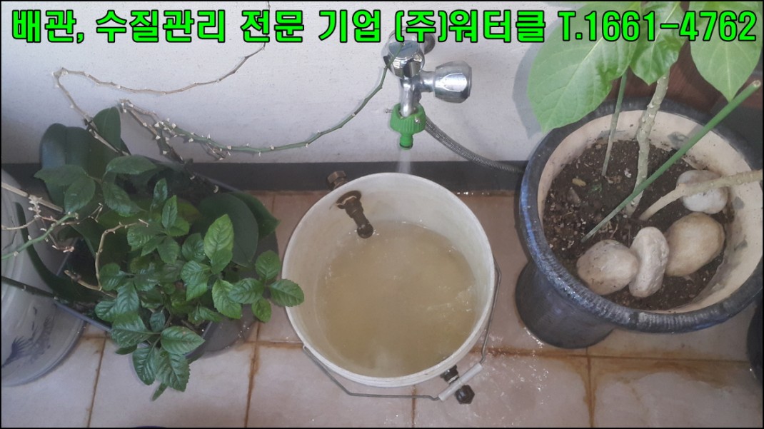 f423ea249cd6737cd64fc72e779e26fa_1636714687_0146.jpg